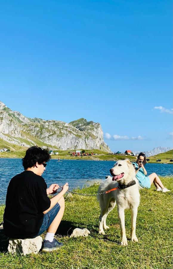 ポドゴリツァ Kapetanovo Jezero Bungalov Bed & Breakfast エクステリア 写真